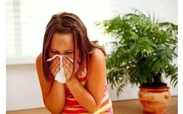 Операция «Чистый воздух», или как облегчить жизнь аллергика