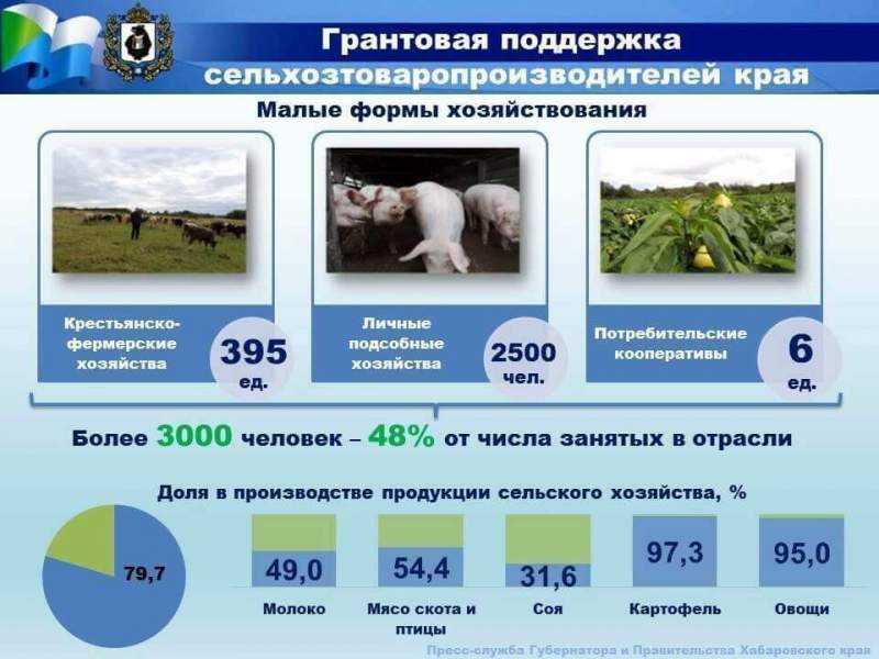 Грантовая поддержка сельхозтоваропроизводителей Хабаровского края