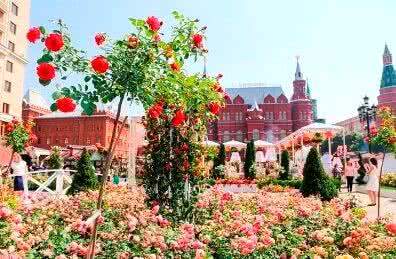 Более 30 садов появятся летом на фестивале «Цветочный джем» в столице