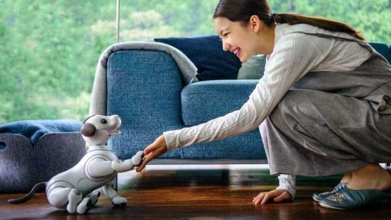 Обновленный робот-собака Aibo от Sony не оставит равнодушным никого