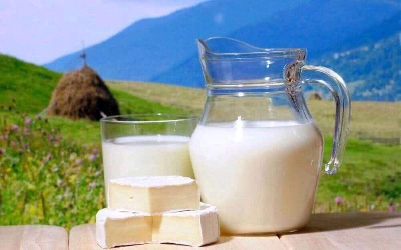 Молоко без молока