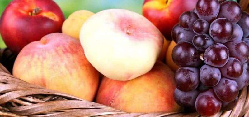 Россия останется без «африканских» персиков и винограда