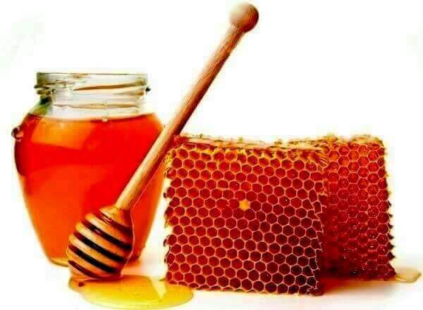 Золотарниковый мед - вкусное лакомство или действенное средство от болезней