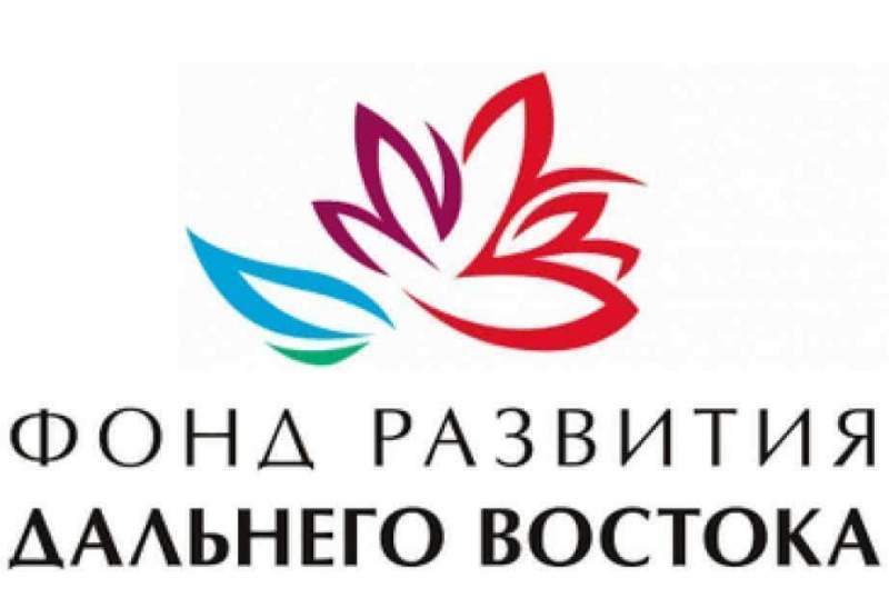 Новые паромы и Хабаровский аэропорт: проекты из региона получат финансирование от ФРДВ