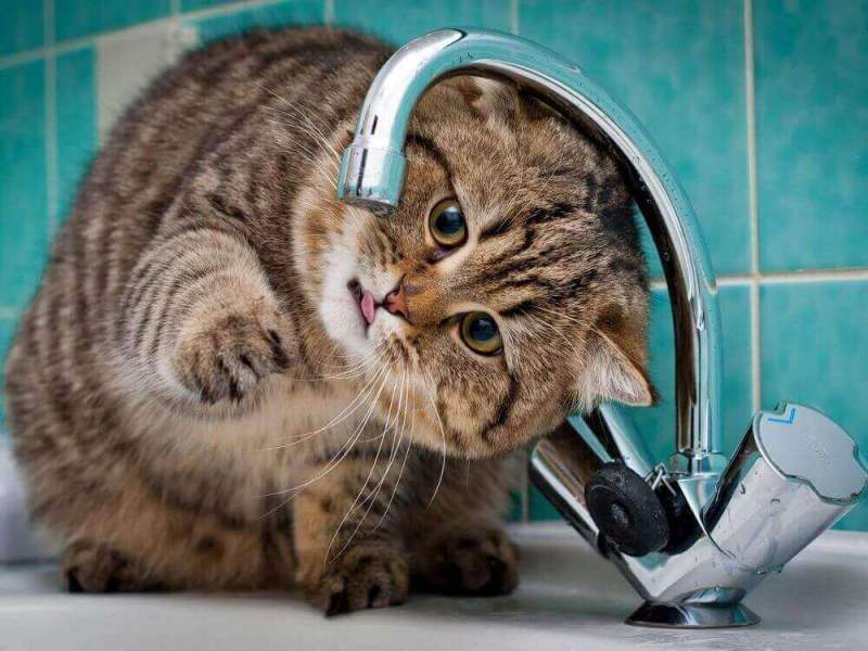 УК Минобороны в Омске возглавила список злостных неплательщиков