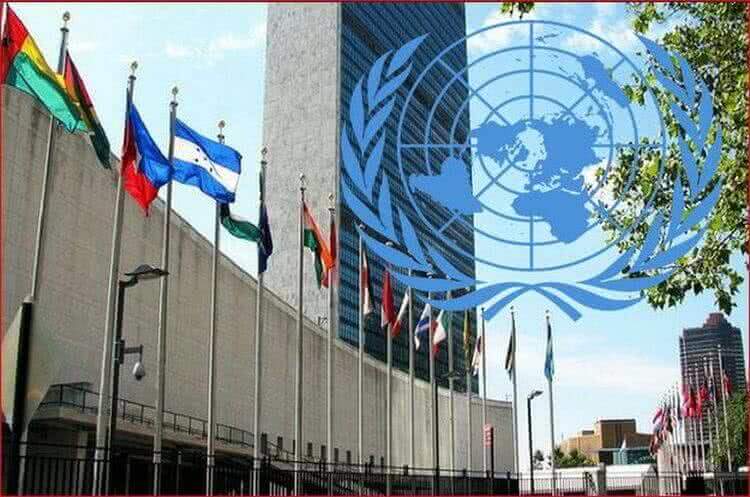 ФАН детально разобрал фейковый доклад ООН