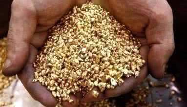 По данным на 1 августа 2015 года недропользователи Магаданской области добыли 11,6 т золота