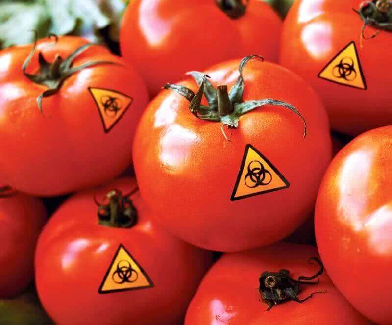 Турецкие помидоры начинены опасными химикатами