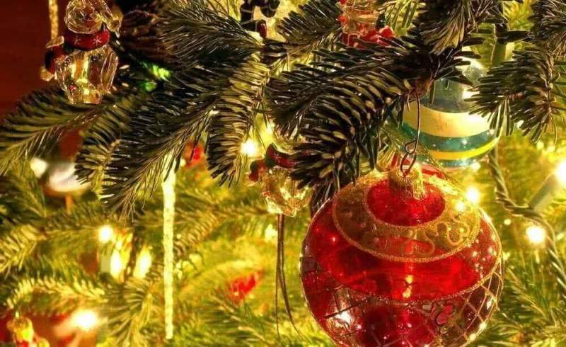 Живая елка – обязательный символ Нового года