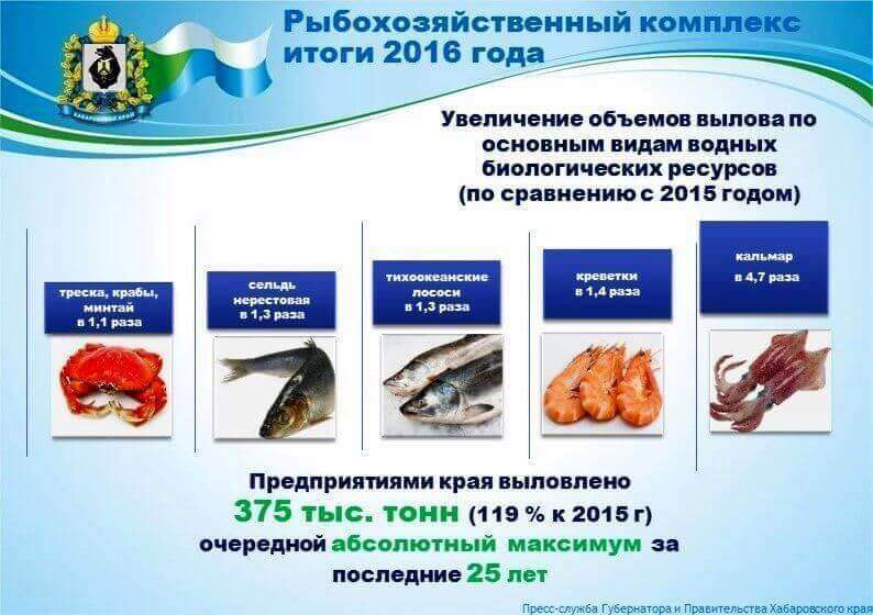 Рыбная отрасль Хабаровского края в 2016 году продемонстрировала уверенный рост 