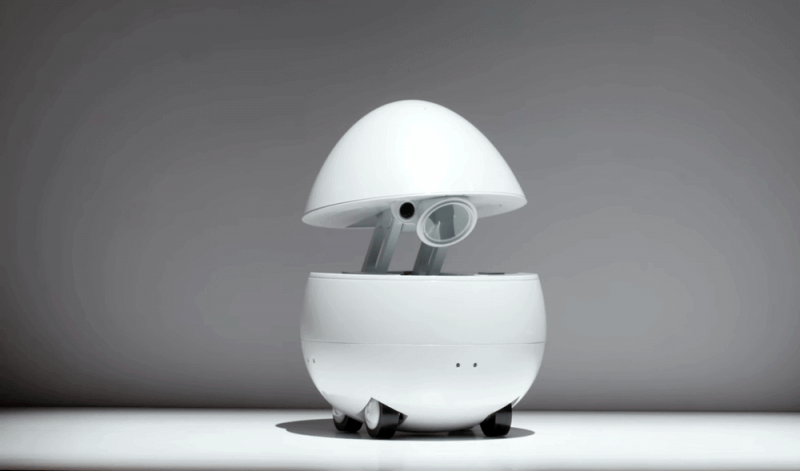 Panasonic представила робота-компаньона в форме яйца