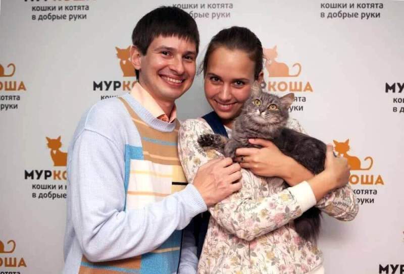 14 февраля пройдет выставка кошек приюта "Муркоша"