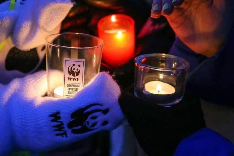 WWF наградит самый активный город-участник «Часа Земли»