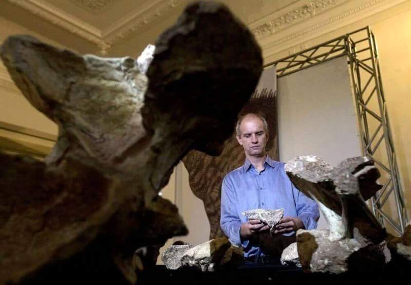 «Руки дошли»: кости самого крупного динозавра Бразилии провели в музее 60 лет