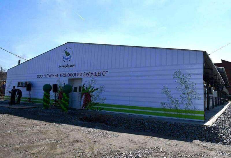 В Хабаровском крае открылся первый в России завод по выращиванию зеленых культур