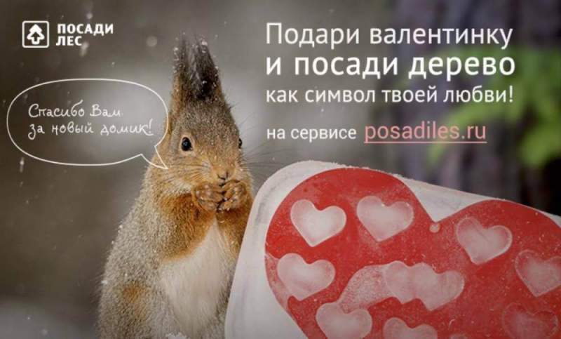 В Астрахани стартовал флешмоб "Подари валентинку и посади дерево"