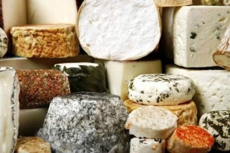 В Хабаровском крае увеличат выпуск мягких сортов сыра