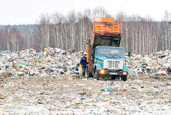 Петербург и Ленобласть объединят усилия в борьбе с мусором