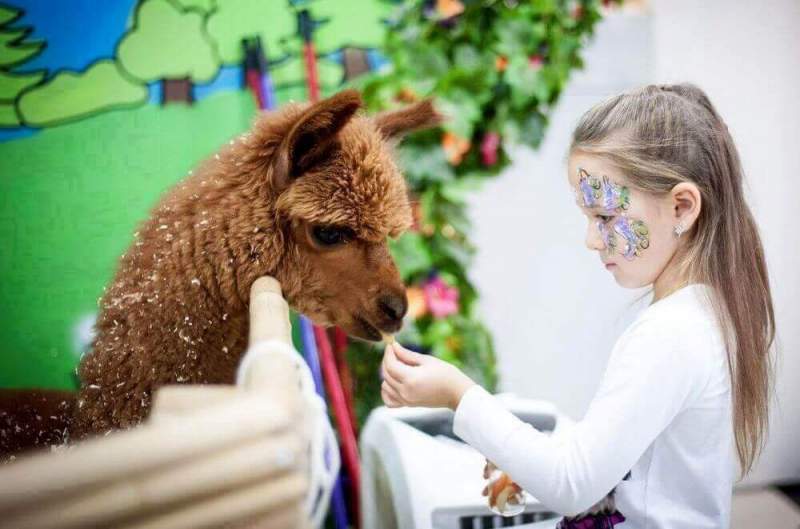 В Москве открыли новый контактный зоопарк
