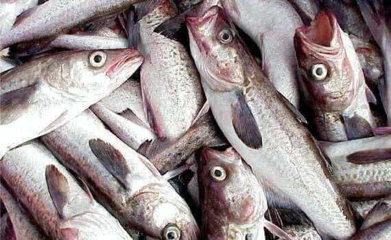 Рыбная продукция Хабаровского края станет доступнее для жителей