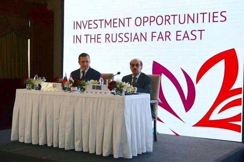 Юрий Трутнев представил индийскому бизнесу инвестиционный потенциал Дальнего Востока