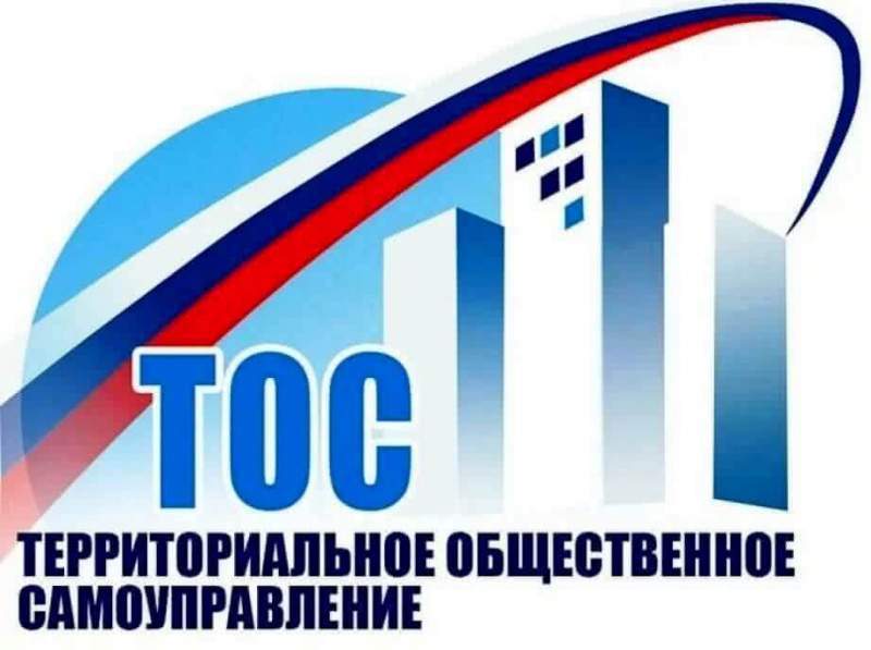 Новые территориальные общественные самоуправления созданы в Хабаровском крае