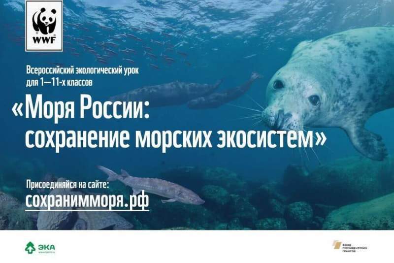 Учителей Астраханской области приглашают провести экоурок о сохранении морских экосистем