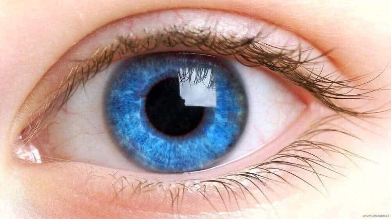 В отечественный перечень высокотехнологичной медицинской помощи добавят бионический глаз