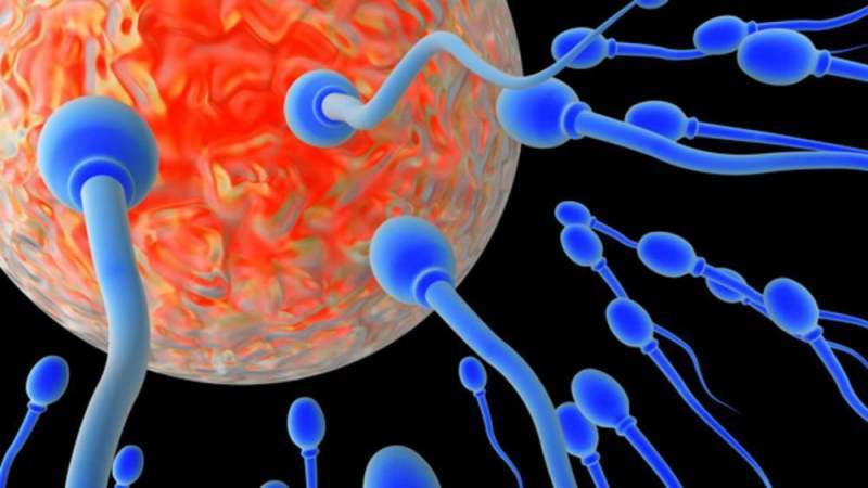 Как улучшить фертильность: несколько действенных рекомендаций