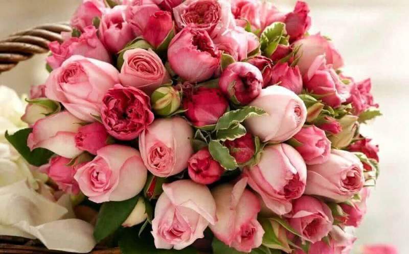 Магазин цветов в Челябинске: заказ и доставка букетов роз