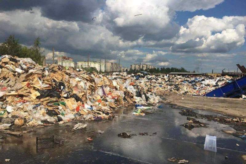 Мусорные итоги года в Петербурге: количество отходов растет, а перерабатывают только пятую часть