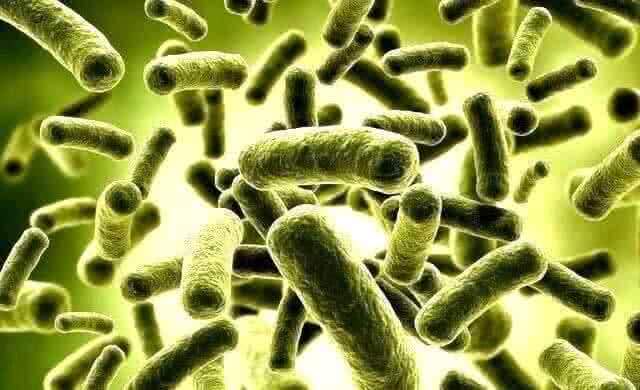 На защиту человечества от бактерий встанут очистители с пробиотиками