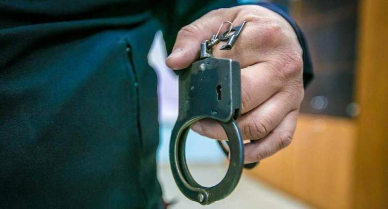 Полиция Зеленограда задержала подозреваемого в грабеже