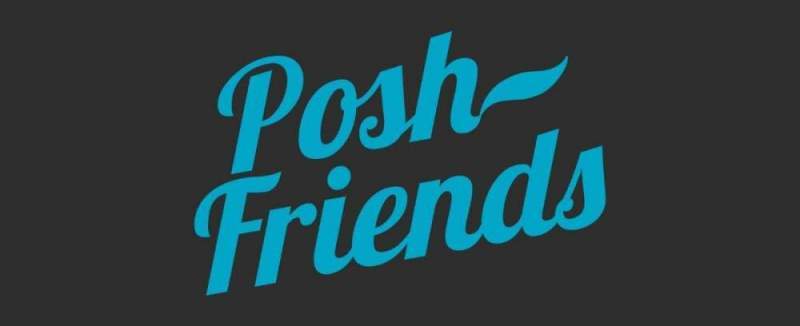 Партнерская программа Posh Friends