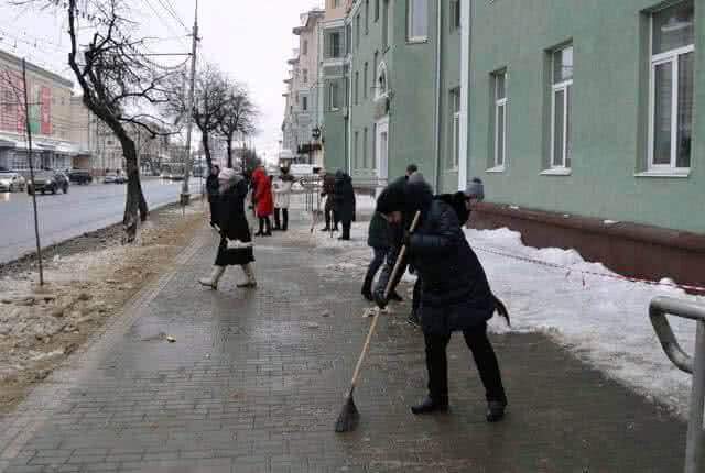 Пензенские библиотекари борются со снежной наледью на тротуарах