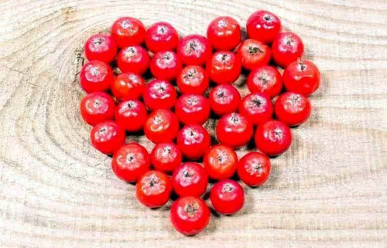 Здоровое сердце. Как сохранить и укрепить здоровье сердца.