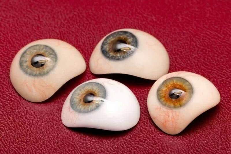 Ученые: «Биопротезы глаз помогут лучше понять принцип работы человеческого зрения»