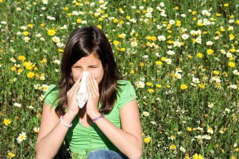 Ученые: Аллергия на пыльцу растений укрепляет память