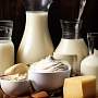 Польза молочных продуктов для человека