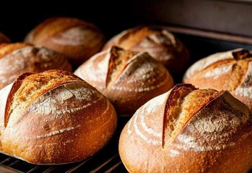 Как выбрать хлебопекарную печь