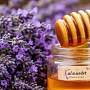 Лавандовый мед
