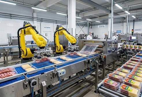 Виды упаковочных машин для пищевой промышленности и критерии их выбора