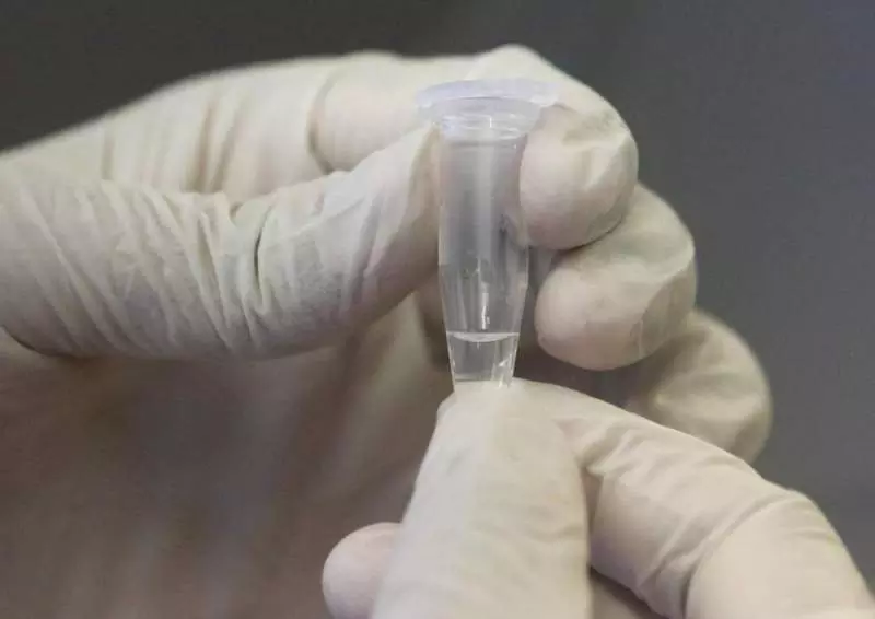 В РФ могут появиться две назальных вакцины от коронавируса
