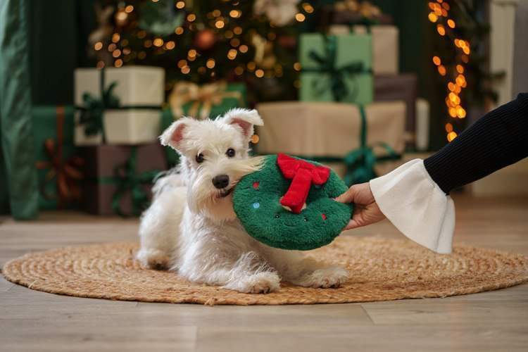 «Пушистая зима в Большой Стране»: фольклор, любовь к животным и новогодняя магия на выставке в мультимедийном пространстве