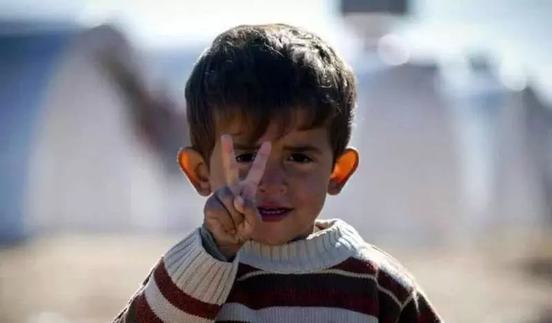 Сирия: заключительные шаги к миру